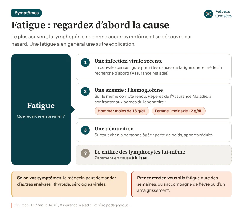 Schéma : une fatigue avec des lymphocytes bas s’explique plutôt par la cause, infection virale récente, anémie (hémoglobine sous 13 g/dL chez l’homme, 12 g/dL chez la femme) ou dénutrition, que par le chiffre lui-même.