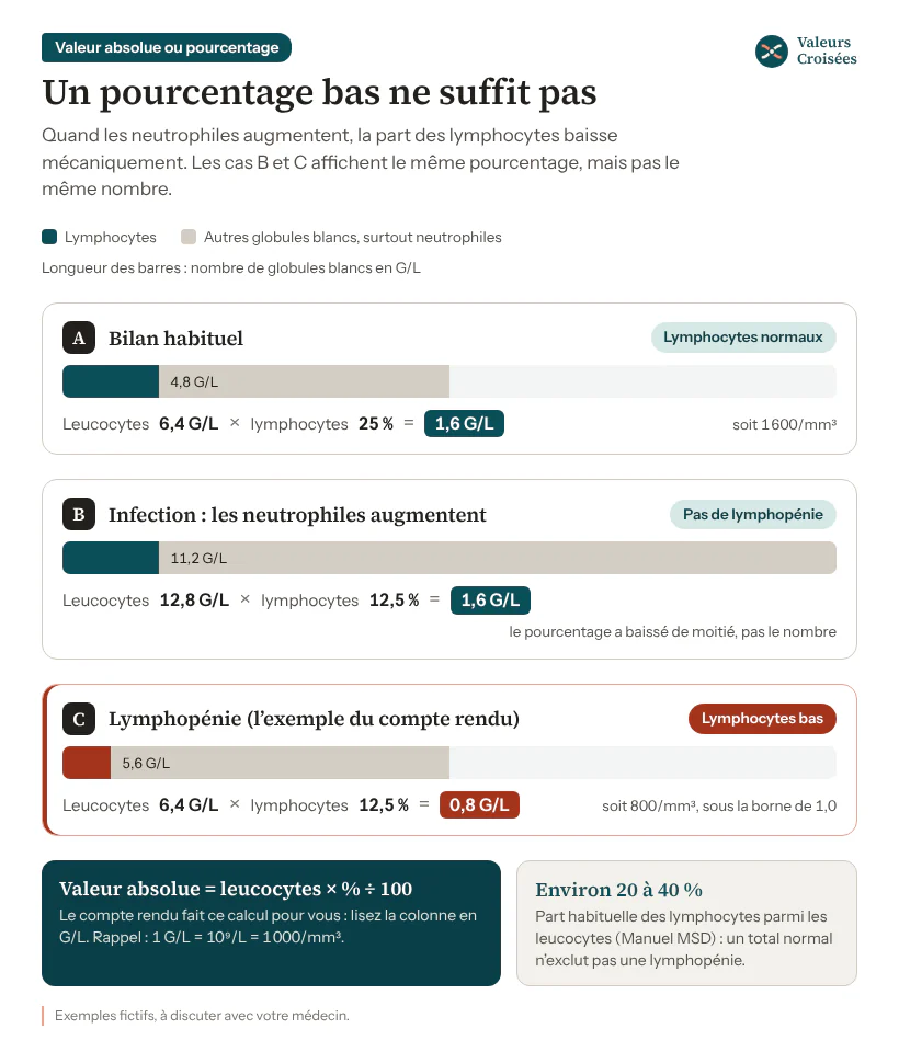 Trois calculs fictifs : 6,4 G/L de leucocytes à 25 % donnent 1,6 G/L de lymphocytes ; pendant une infection, 12,8 G/L à 12,5 % donnent toujours 1,6 G/L ; 6,4 G/L à 12,5 % donnent 0,8 G/L, une lymphopénie.