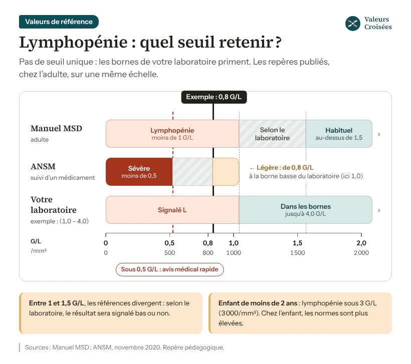 Échelle de 0 à 2 G/L : selon le Manuel MSD, lymphopénie sous 1 G/L et nombre habituel au-dessus de 1,5 G/L chez l’adulte ; selon l’ANSM, lymphopénie sévère sous 0,5 G/L et légère de 0,8 G/L à la borne basse ; exemple à 0,8 G/L.