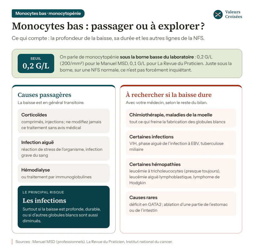 Infographie des monocytes bas : monocytopénie sous 0,2 G/L selon le Manuel MSD ; causes passagères (corticoïdes, infection aiguë, hémodialyse) et causes à rechercher si la baisse dure (chimiothérapie, VIH, leucémie à tricholeucocytes, déficit en GATA2, chirurgie digestive).