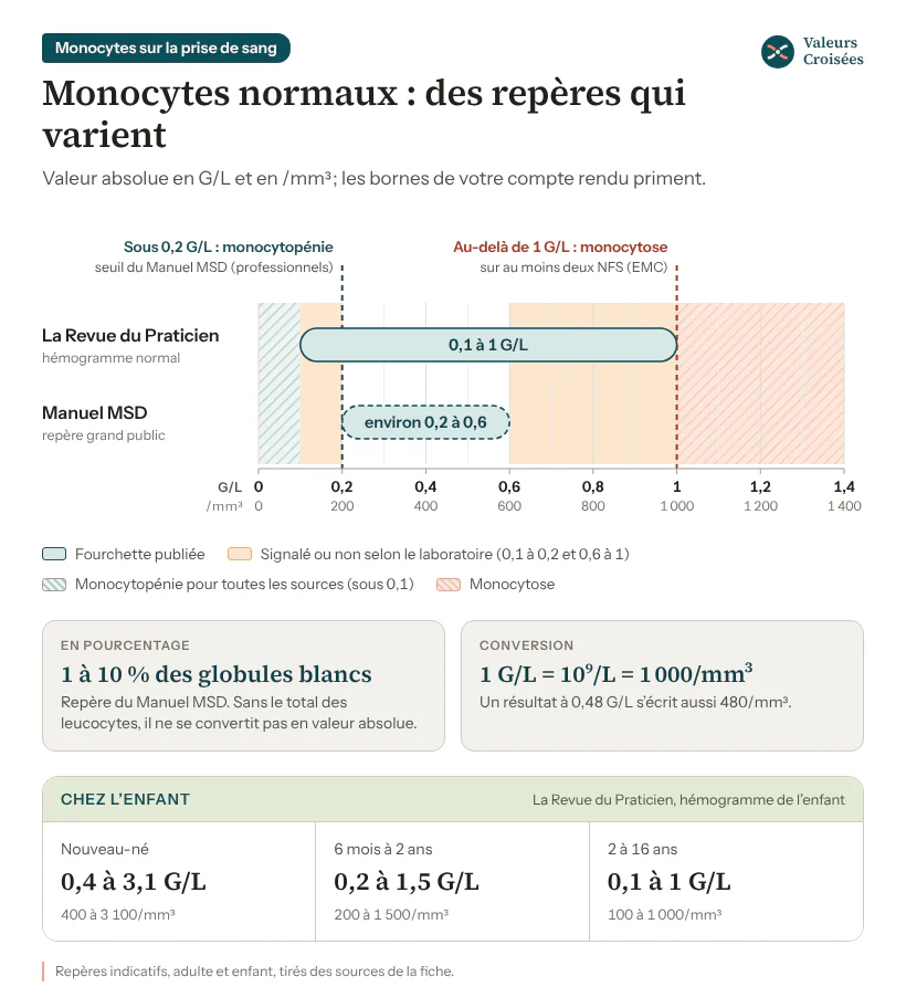 Graphique des valeurs normales des monocytes chez l’adulte : 0,1 à 1 G/L selon La Revue du Praticien, environ 0,2 à 0,6 G/L selon le Manuel MSD ; monocytopénie sous 0,2 G/L (MSD), monocytose au-delà de 1 G/L sur deux NFS. Repères de l’enfant : 0,4 à 3,1, 0,2 à 1,5 et 0,1 à 1 G/L.